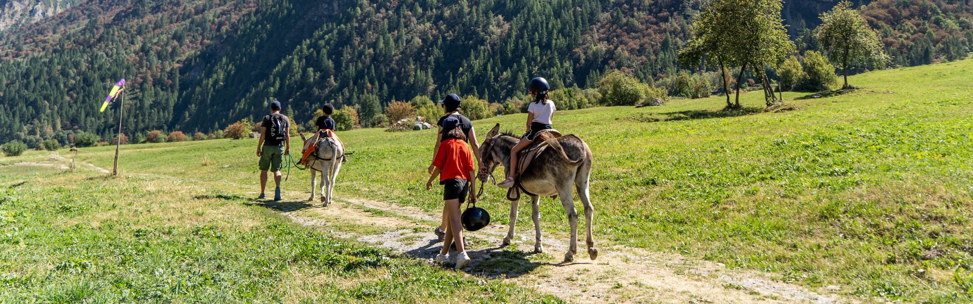 all-summer-activities