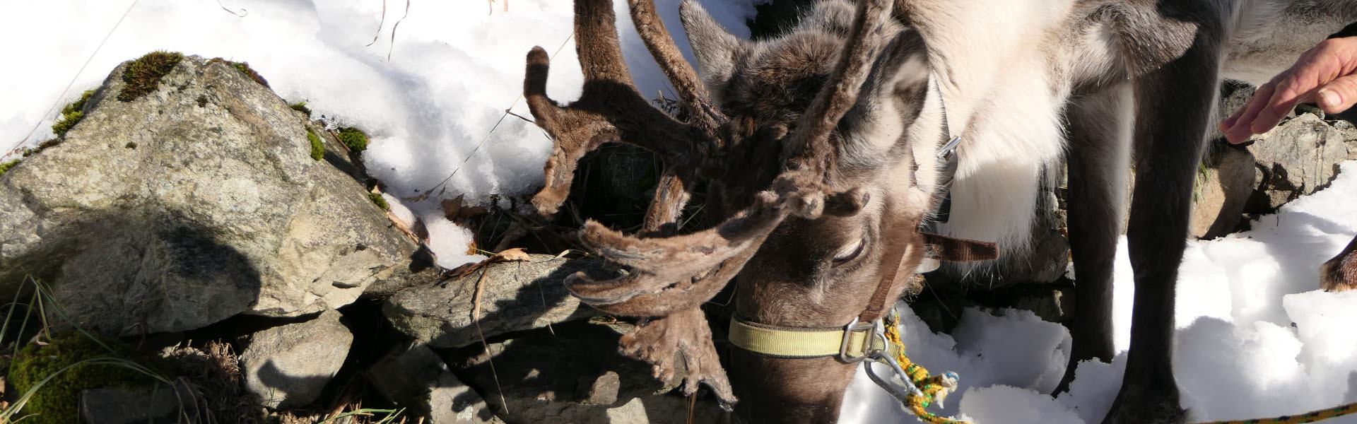 toutes-les-activites-hiver