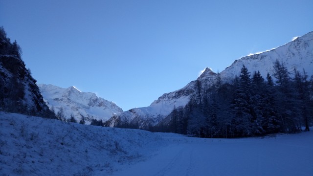 Parcours d'orientation L'hivernal