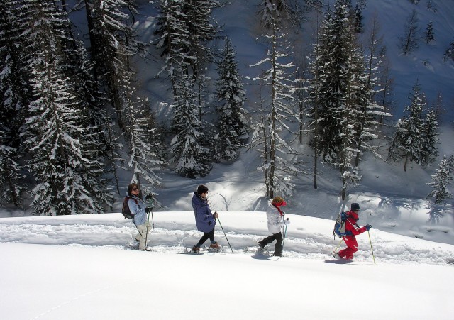 Snowshoeing/hicking pathways