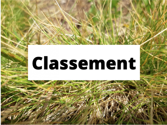 Have your home classified