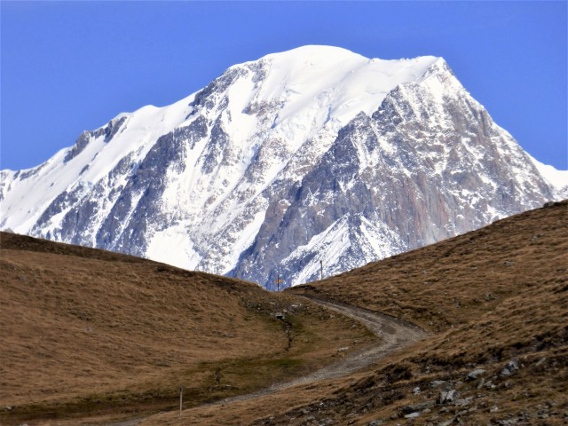 VA : Via Alpina , tout l'arc alpin