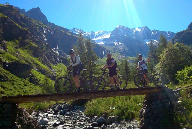 Mountainbike-Schulen