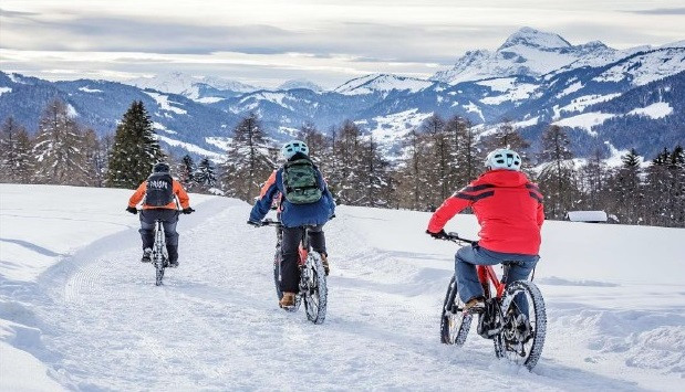 Fat Bike électrique