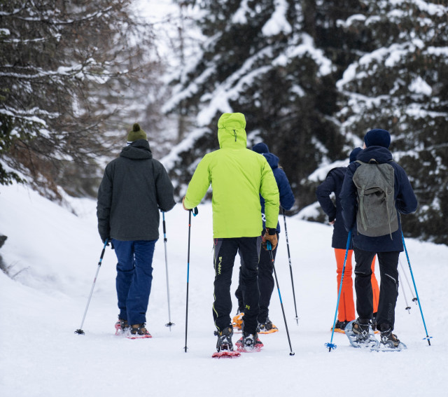 Hiking, walking ski touring, snowshoeing