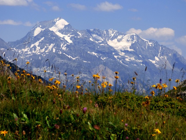 TMP : Tour du Mont Pourri