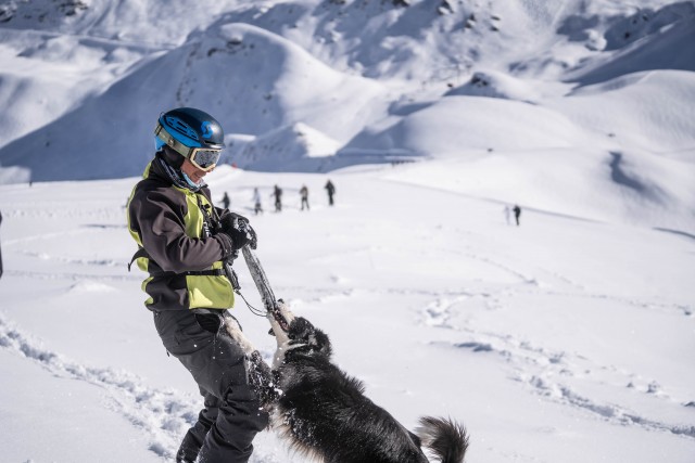 Sécurité sur les pistes