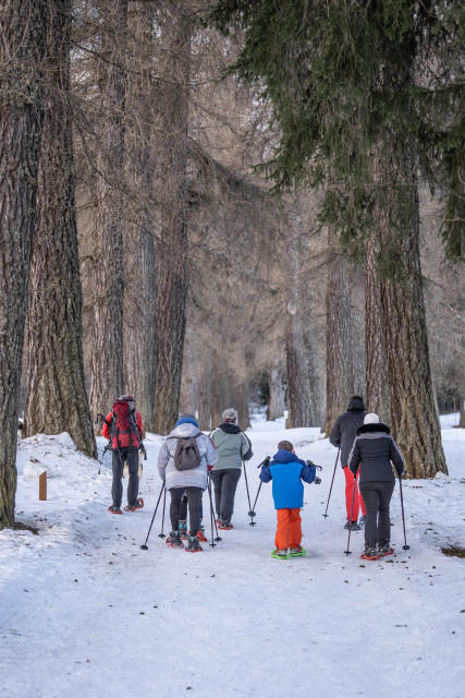 Snowshoeing