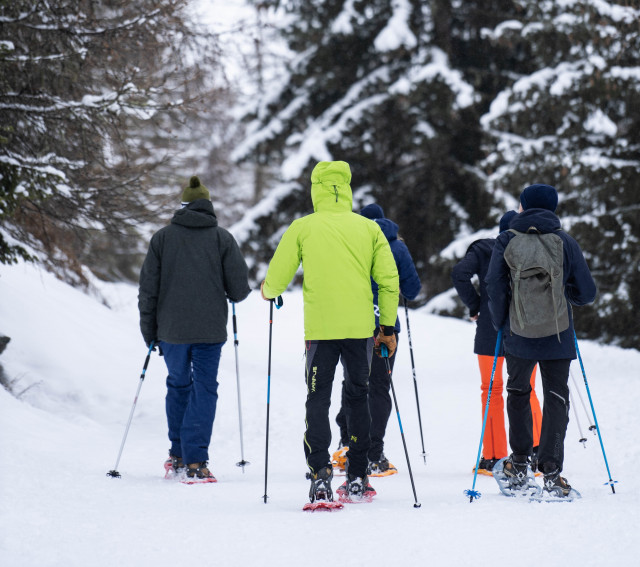 Snowshoe outings to be booked