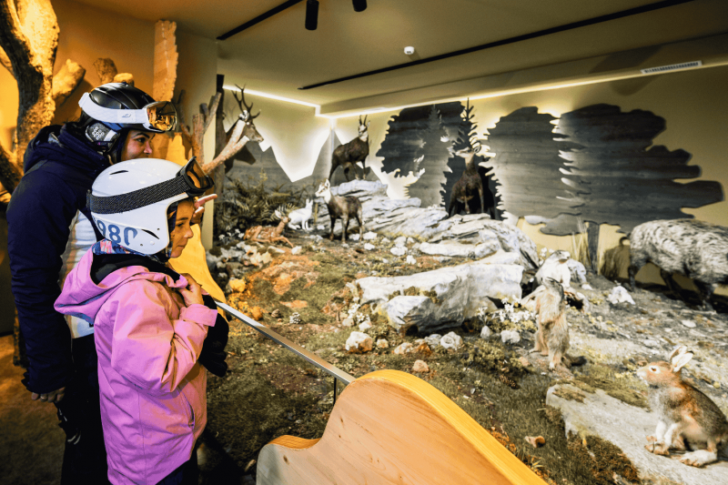 Le Muséum des Animaux de Montagne