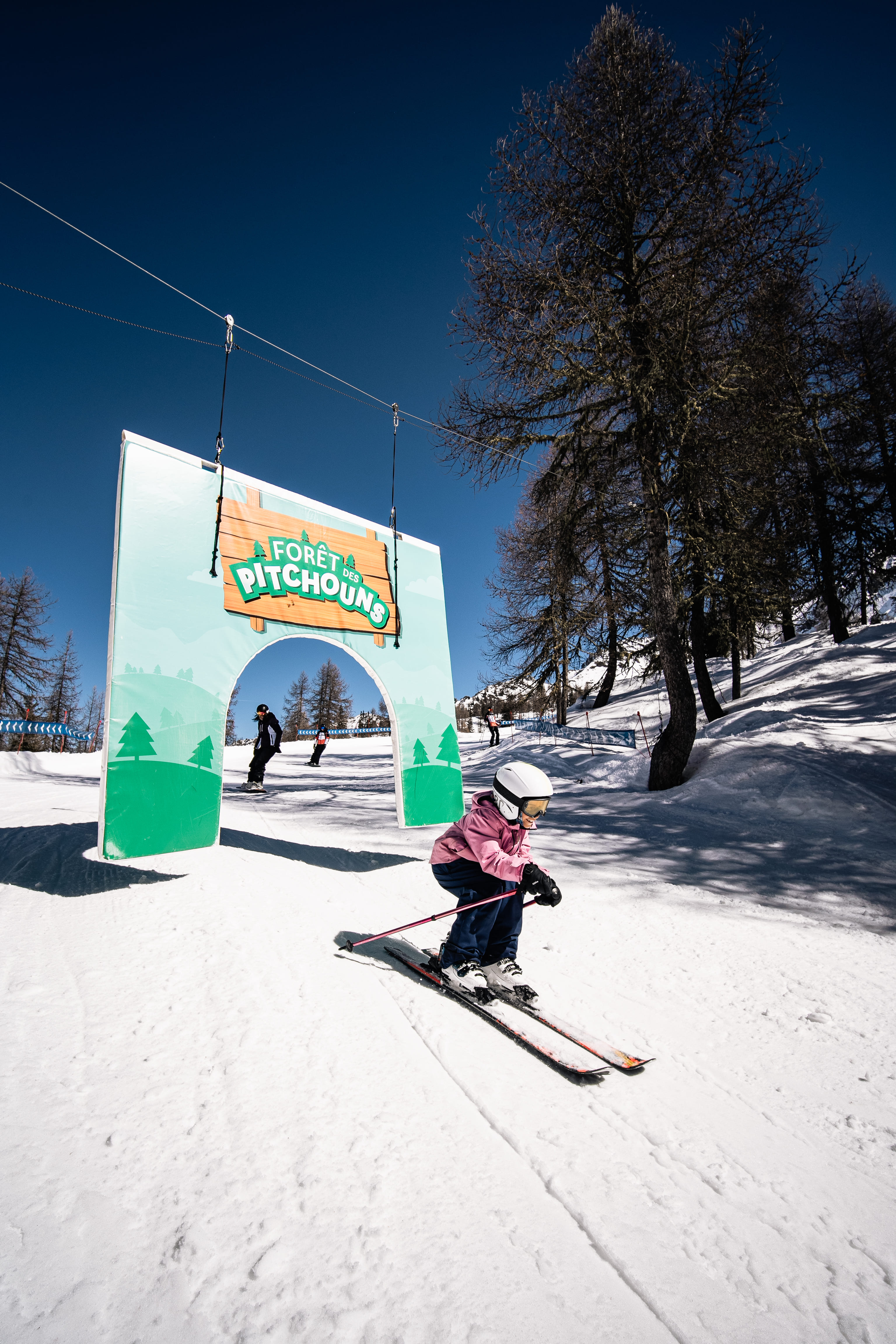 Forêt des Pitchouns