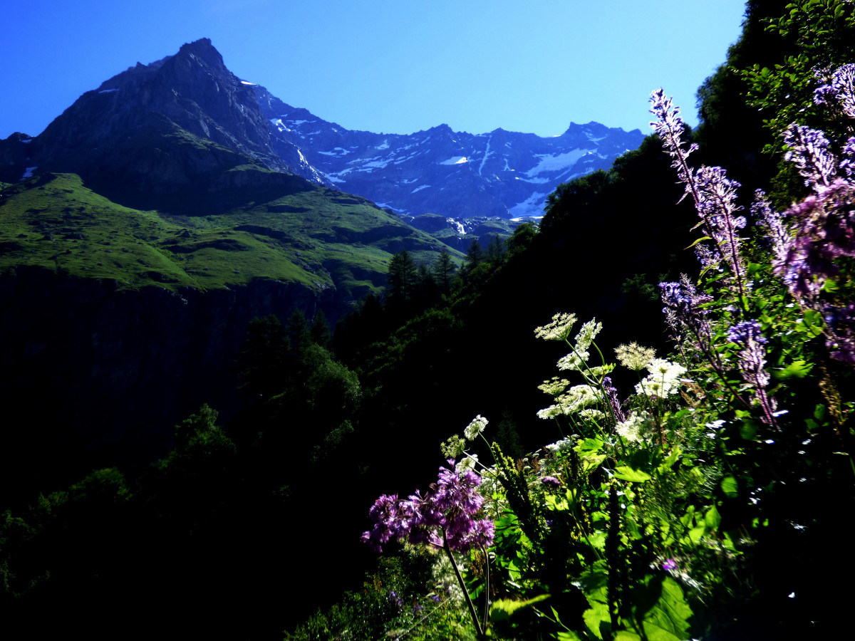 la Rêbe