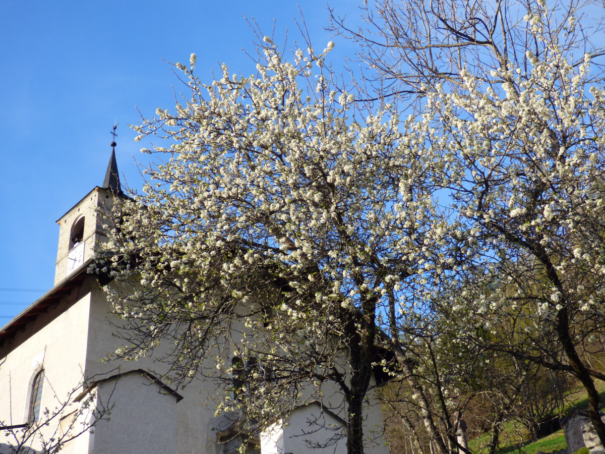 eglise de peisey