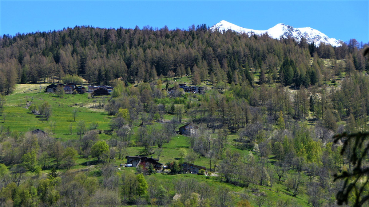 Sentier des noisettes