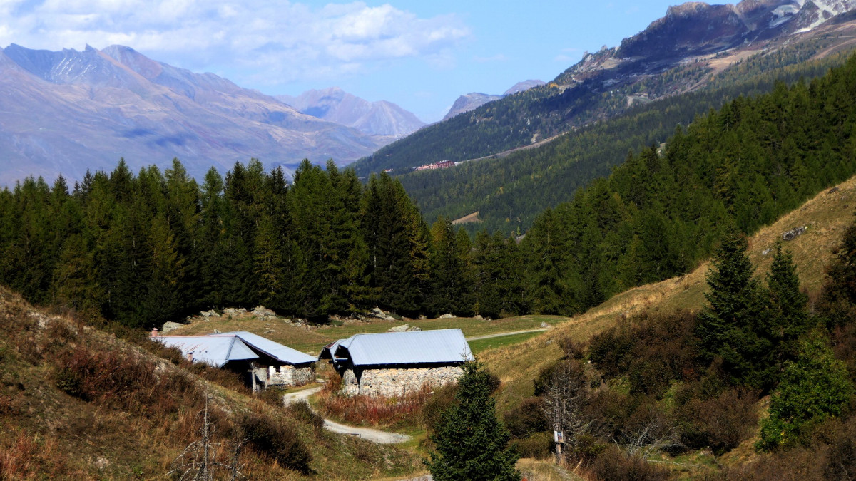 Le thovex - les Bauches - Parmain