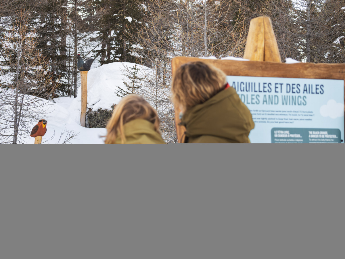 Les Géants de Malgovert