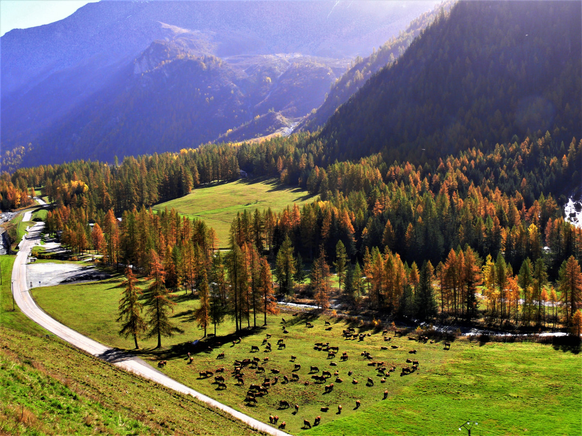 Sentier muséo du palais de la mine - © MNPC Sentier muséo du palais de la mine