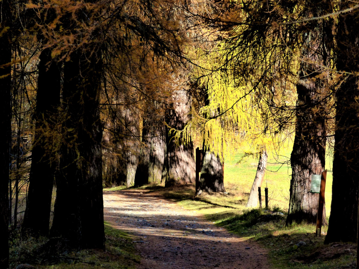 Sentier muséo du palais de la mine - © MNPC Sentier muséo du palais de la mine