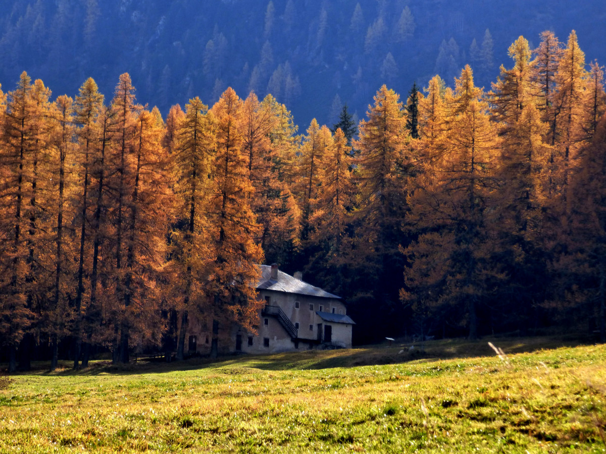 Sentier muséo du palais de la mine - © MNPC Sentier muséo du palais de la mine