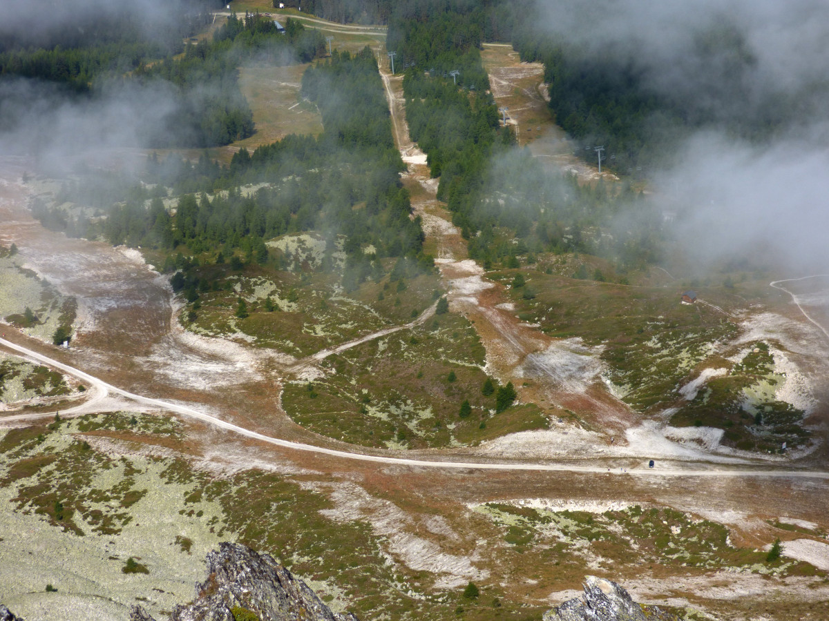 aiguille grive