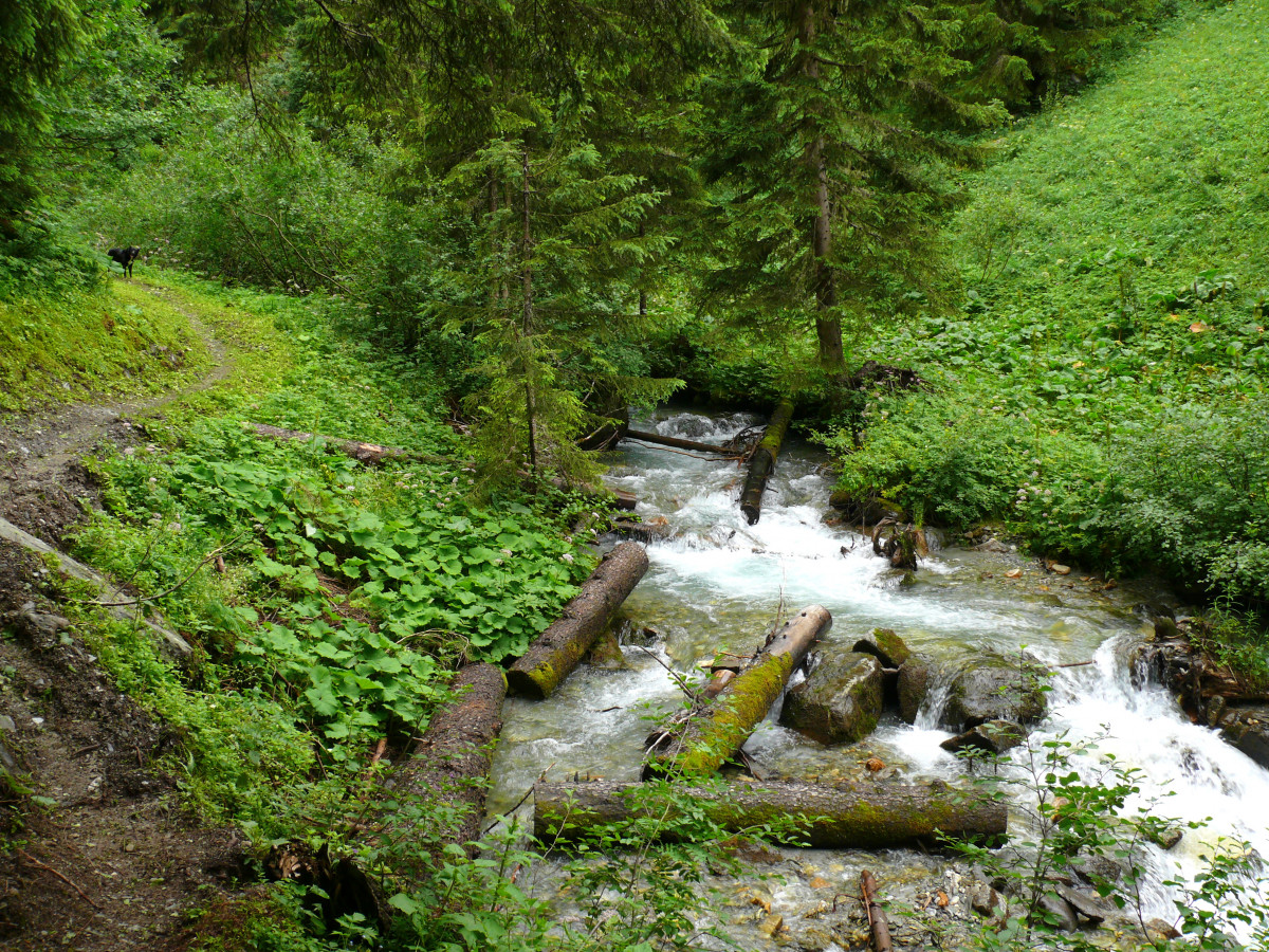 Le thovex - les Bauches - Parmain