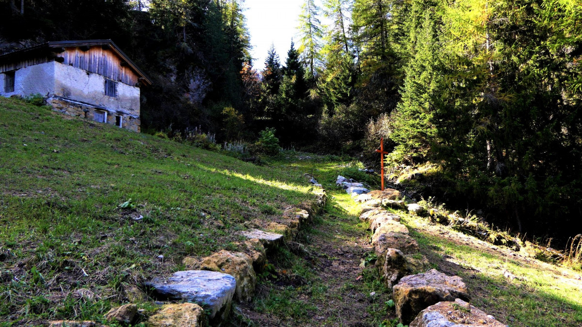 Le thovex - les Bauches - Parmain