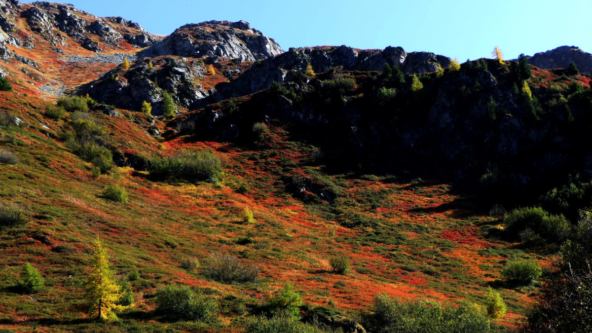 Le thovex - les Bauches - Parmain