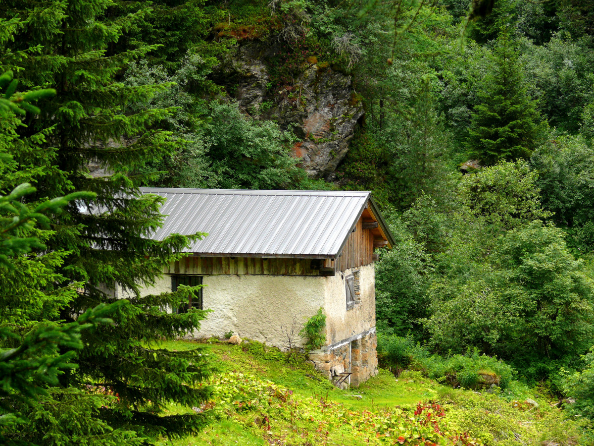 Le thovex - les Bauches - Parmain