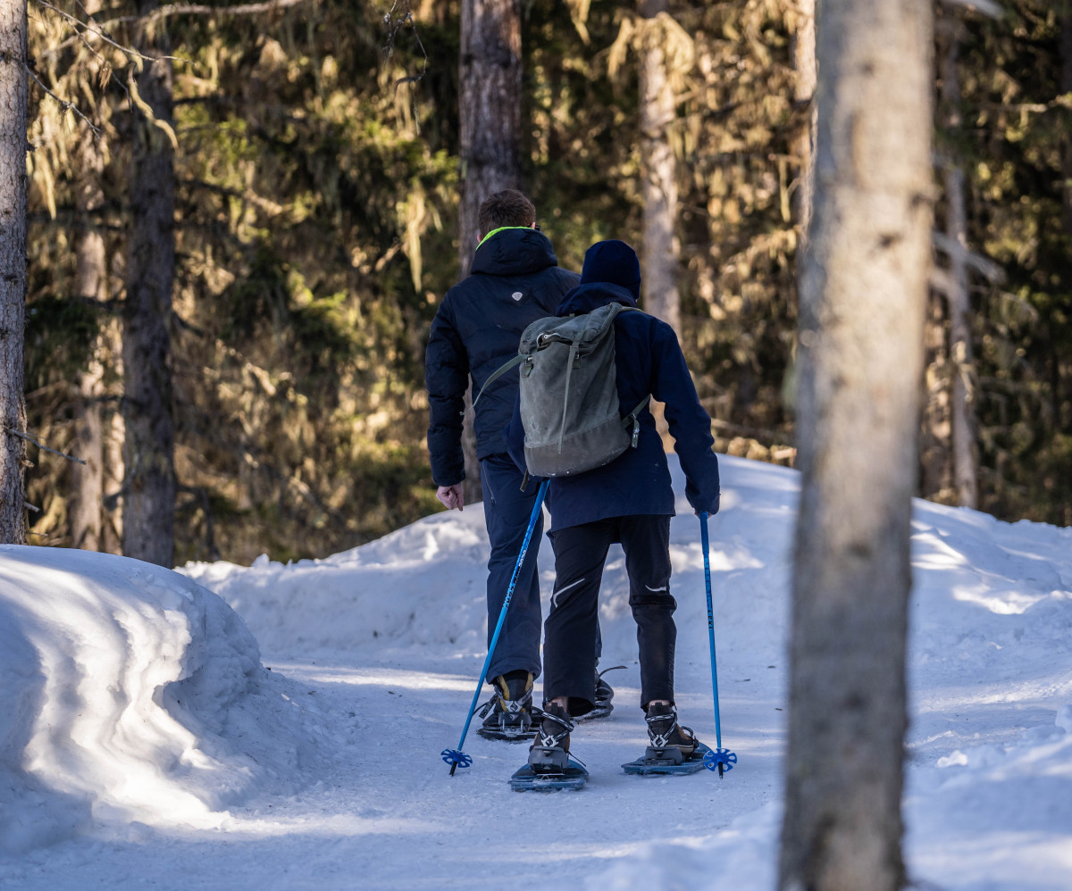 Boucle des montagnettes - © Office de tourisme de Peisey-Vallandry Boucle des montagnettes