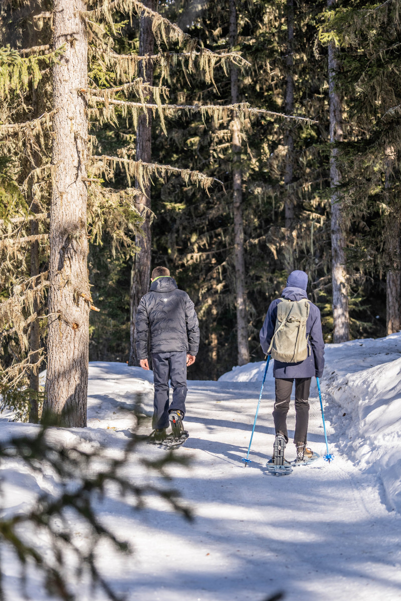 Boucle des montagnettes - © Office de tourisme de Peisey-Vallandry Boucle des montagnettes