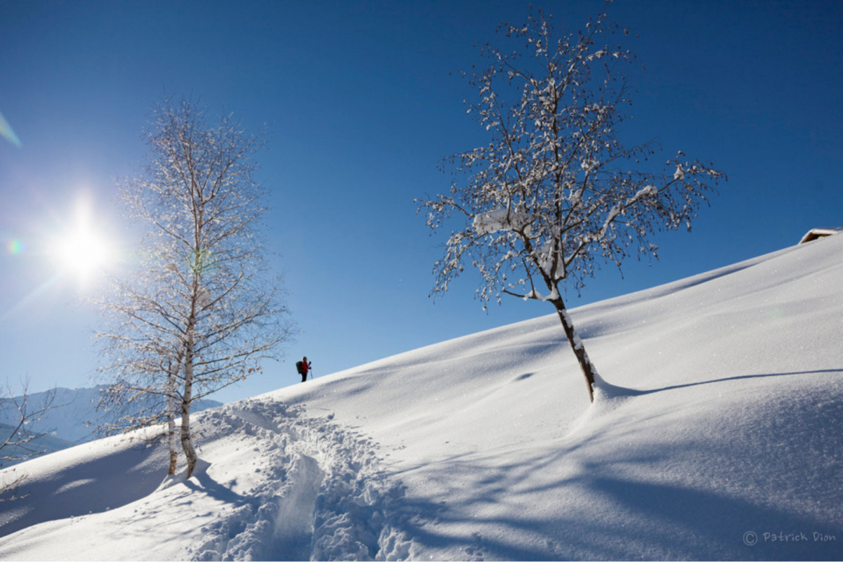 Snowshoes