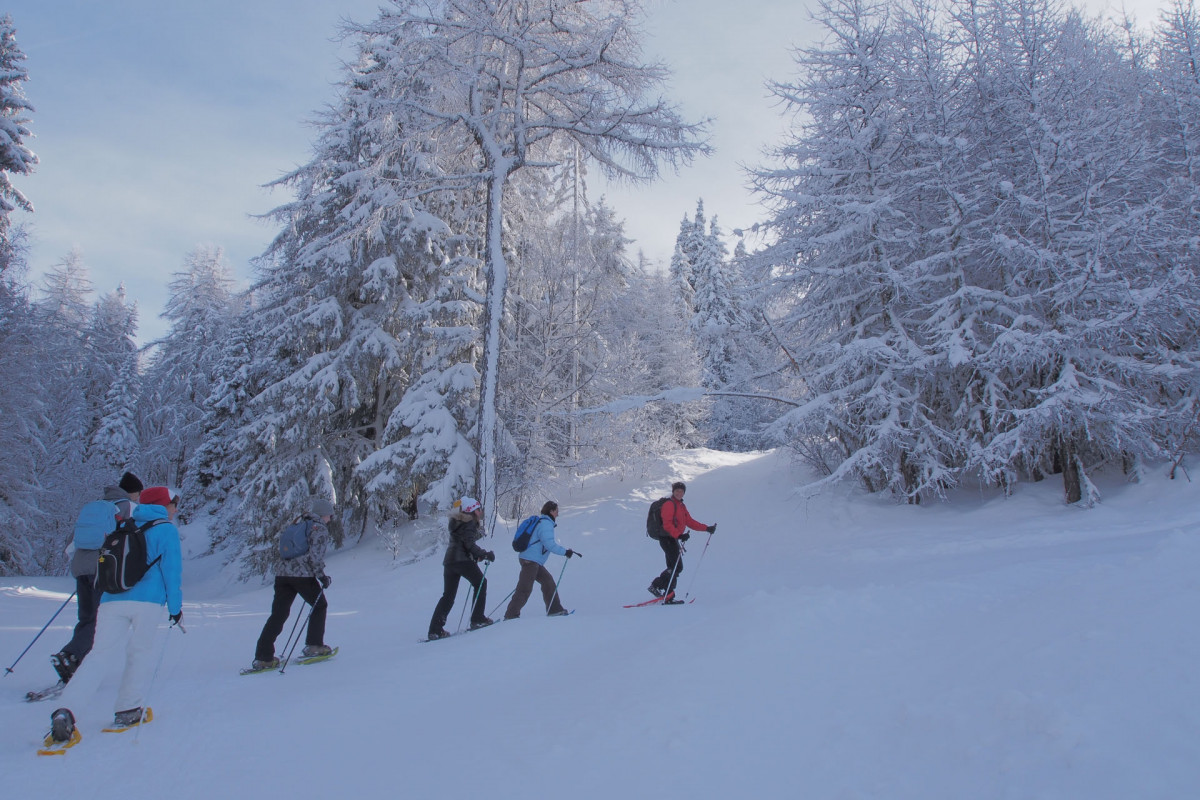 Vaugelas Dome Snowshoes