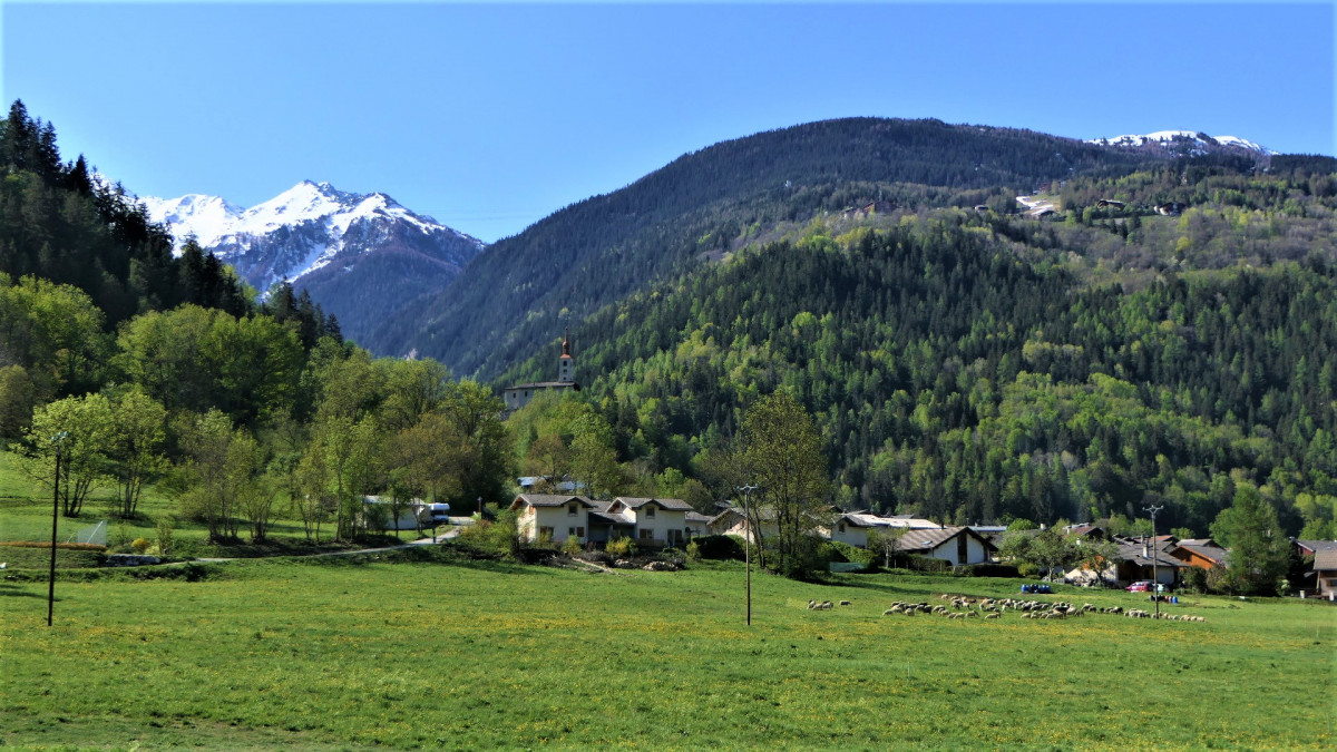 landry feuilles - © mnpc landry feuilles