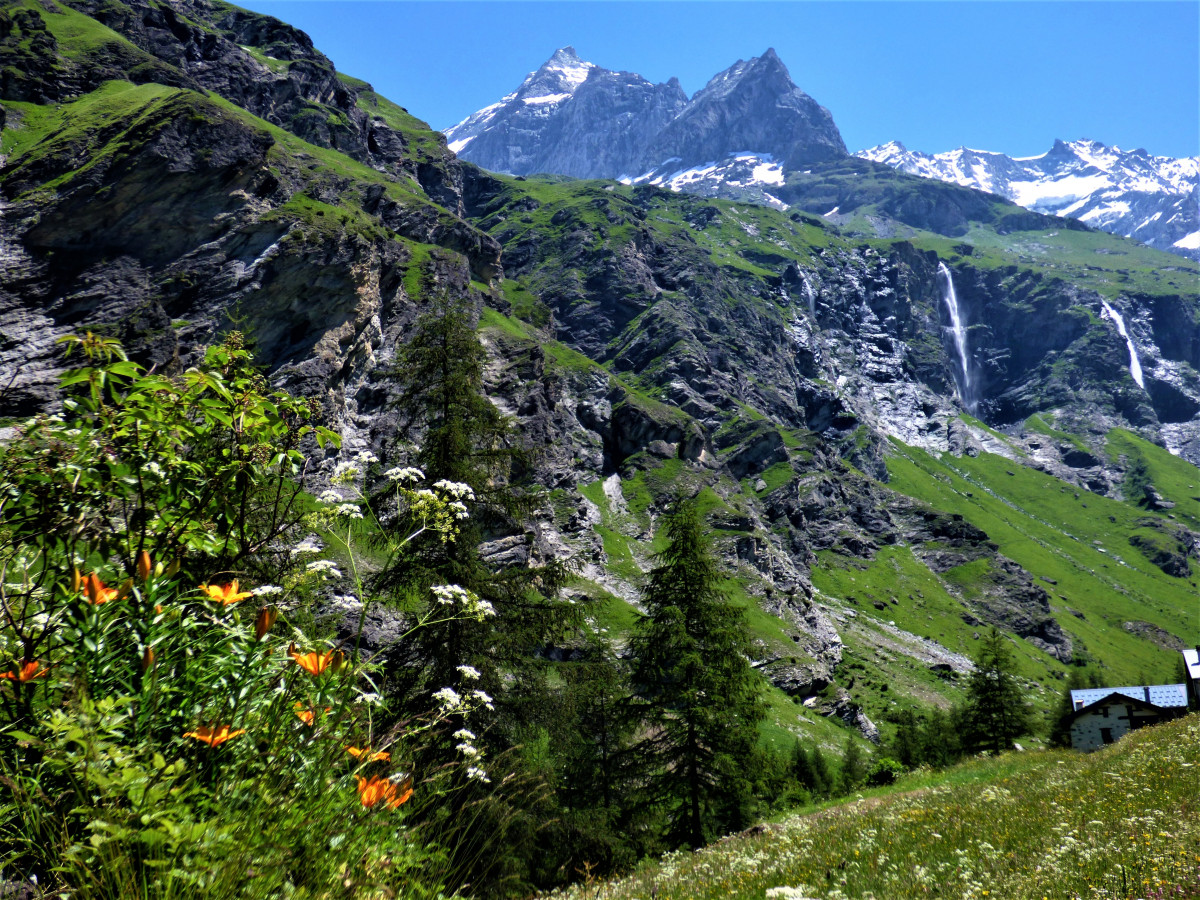 la Guraz lis orangé la Guraz lis orangé
