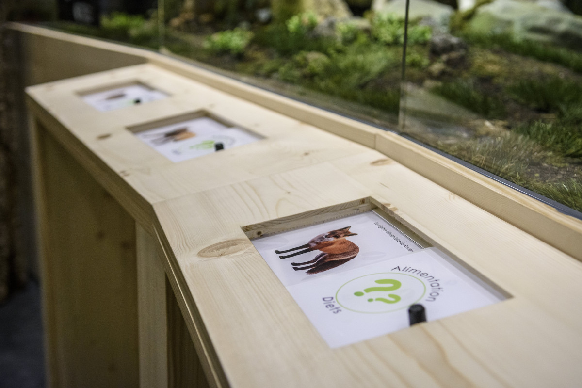 Muséum des Animaux de Montagne