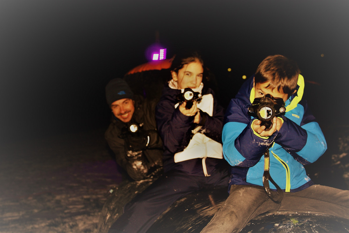 Laser Attitude Laser Attitude