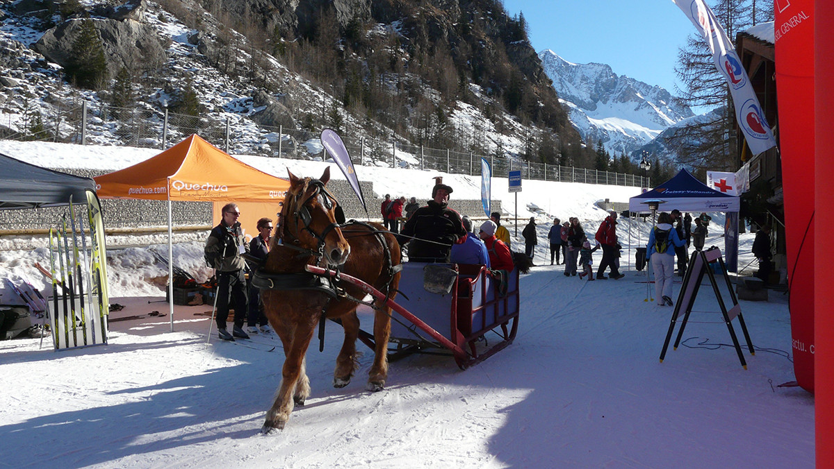Balade en traîneau