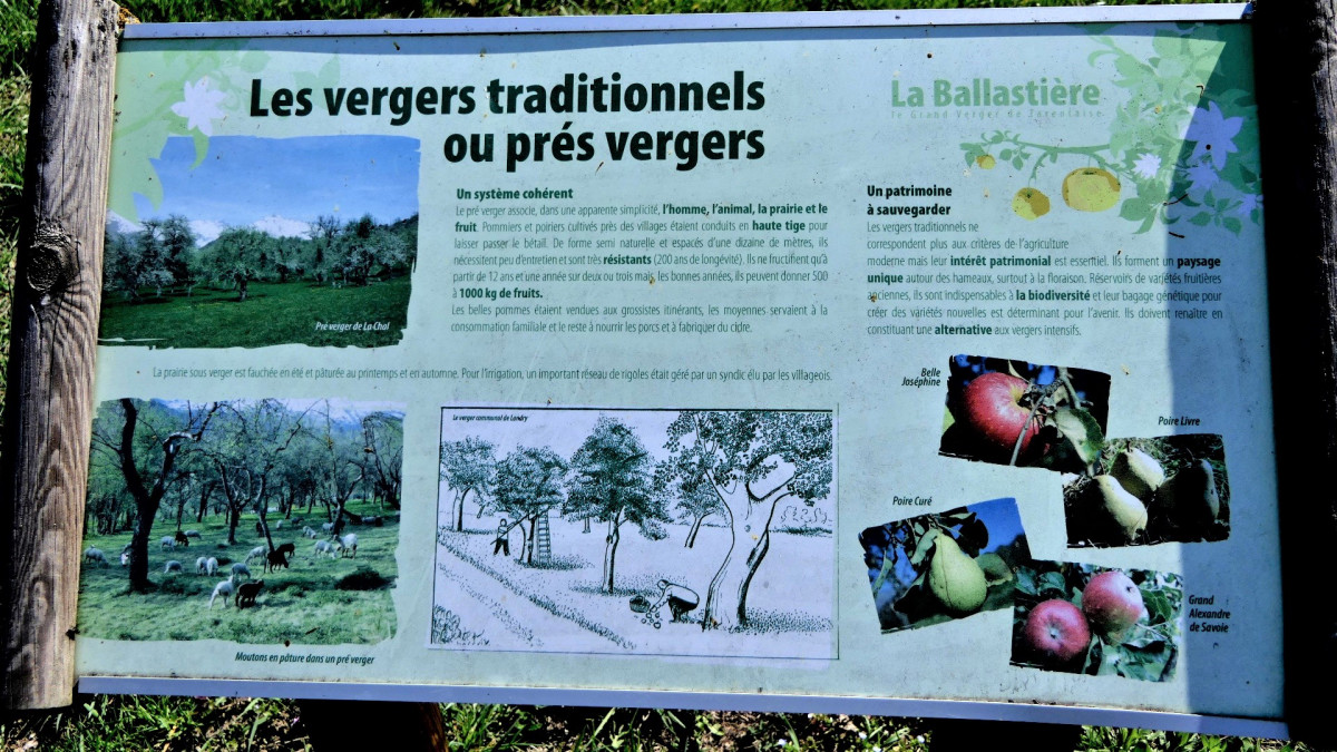 verger de la Balastière