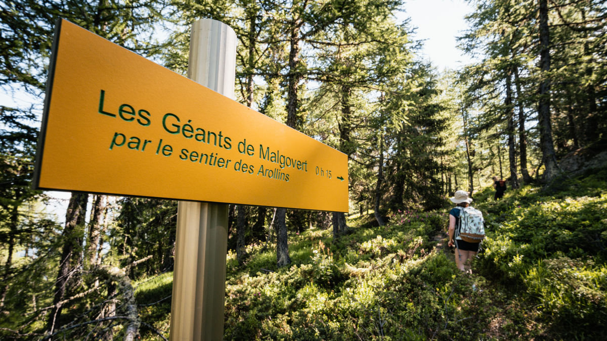 Sentier des Arollins - © Y. ALLEGRE Sentier des Arollins