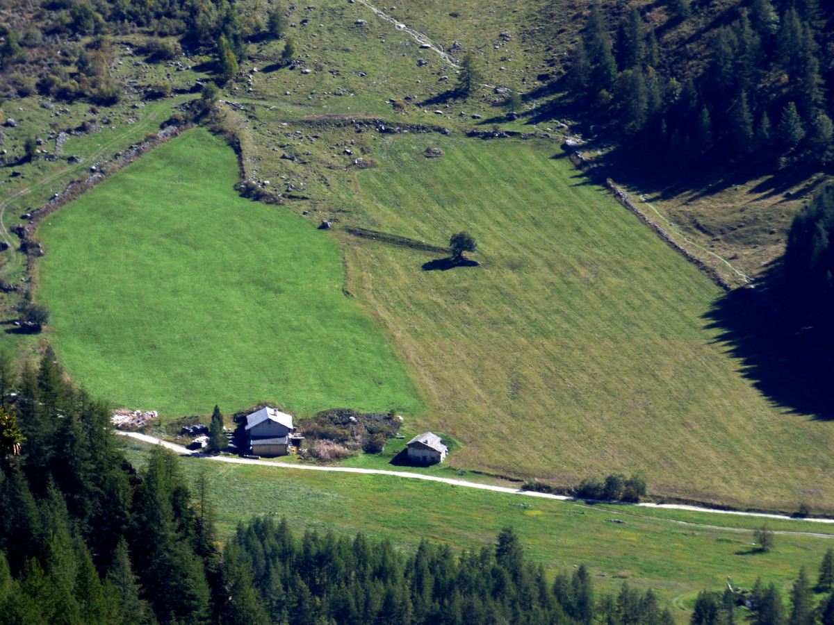 la culaz