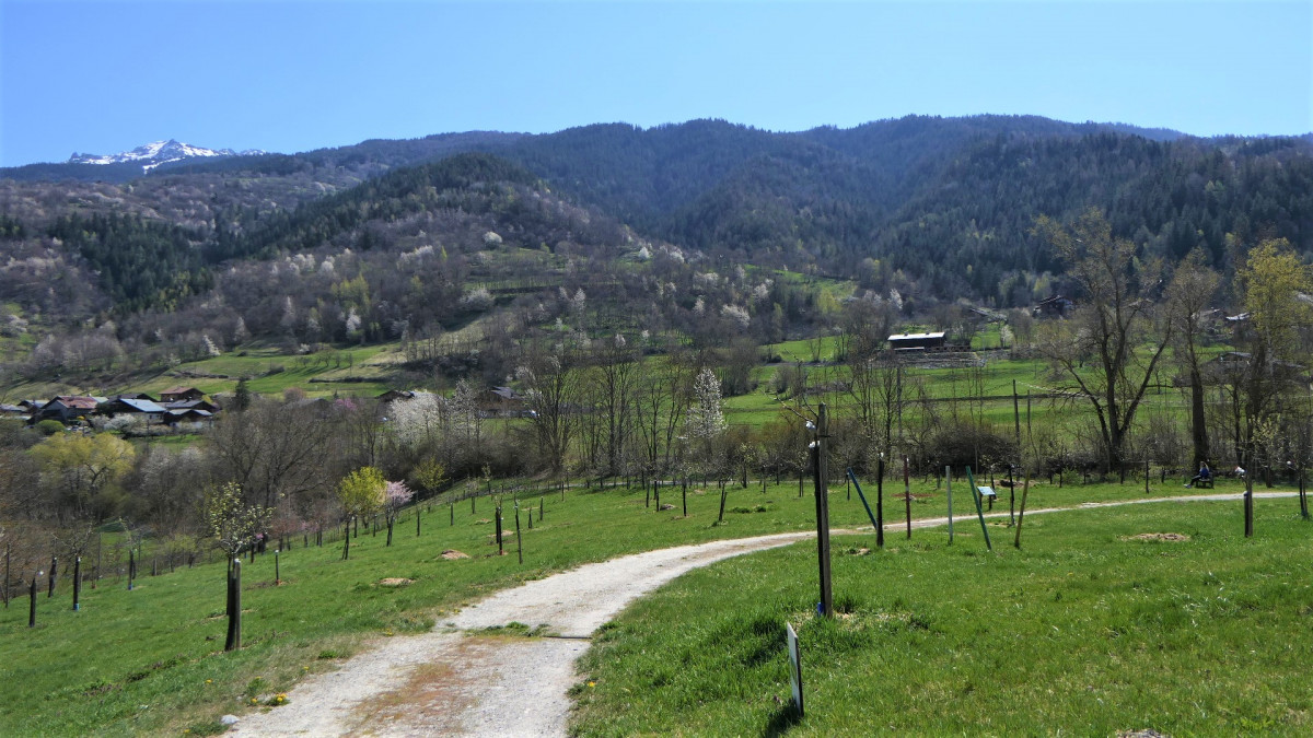 verger de la Balastière