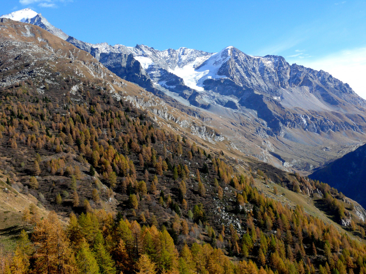 bois du Barmail
