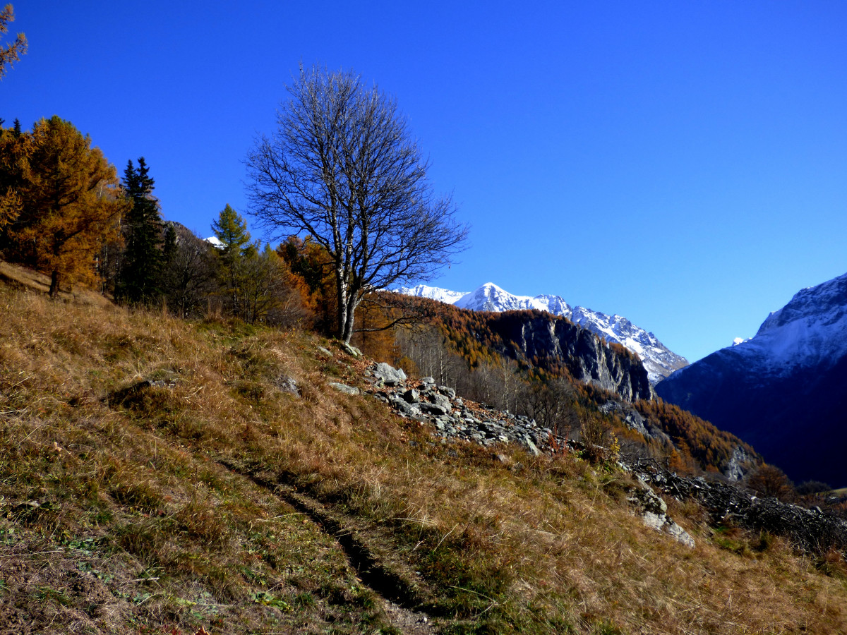 Sentier des noisettes