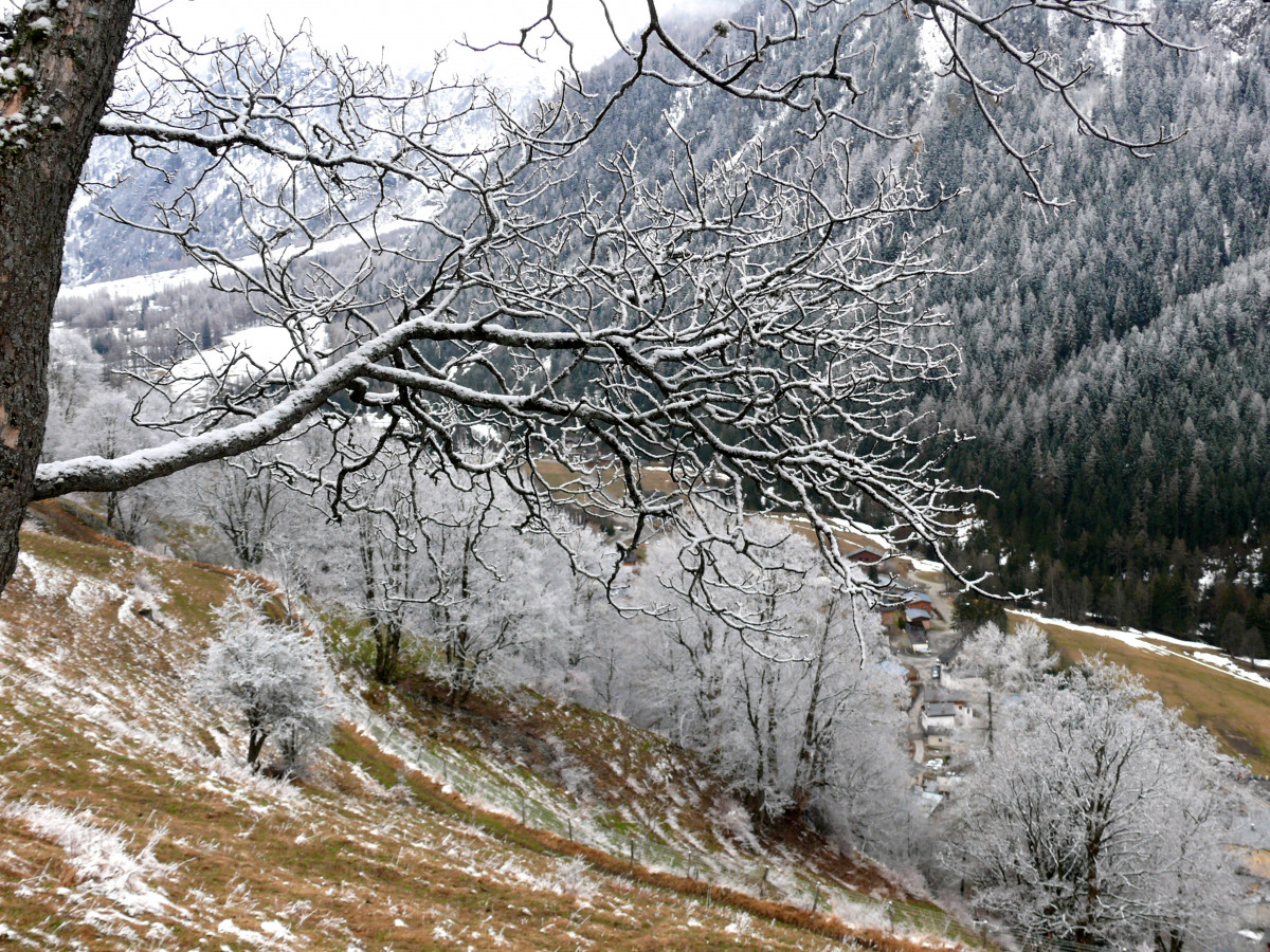 Sentier des noisettes