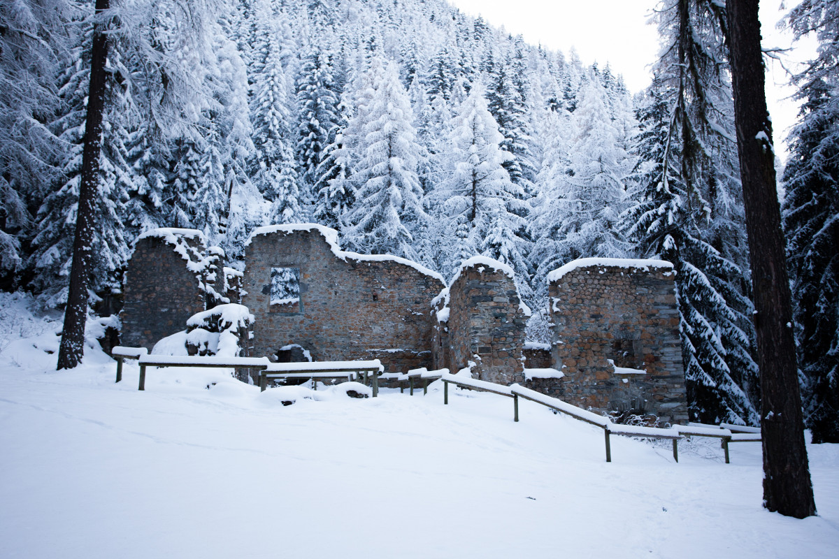 Vestiges en hiver Vestiges en hiver