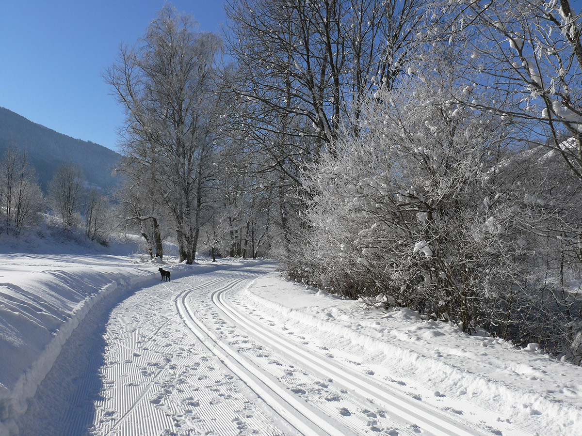 Piste de fond le long de l'Isère à Landry