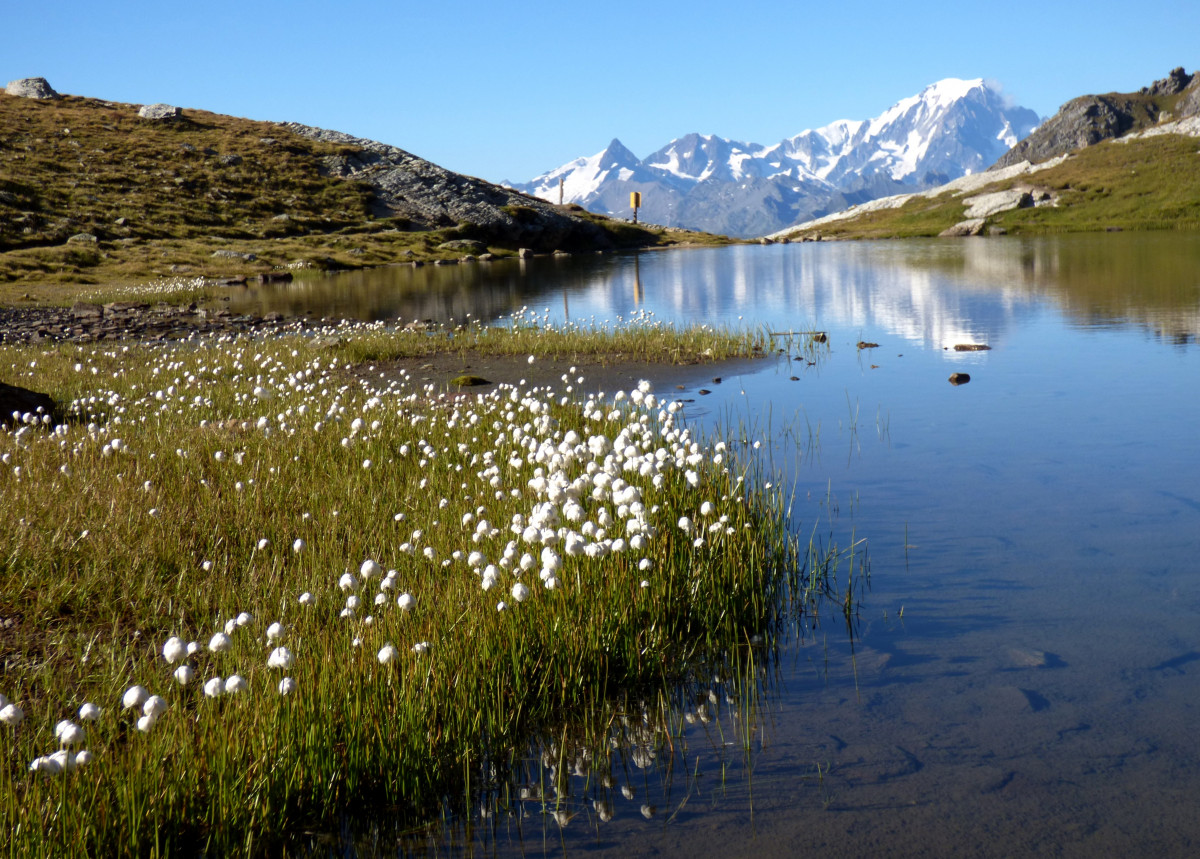 Lac des Moutons - Grand Col Lac des Moutons - Grand Col