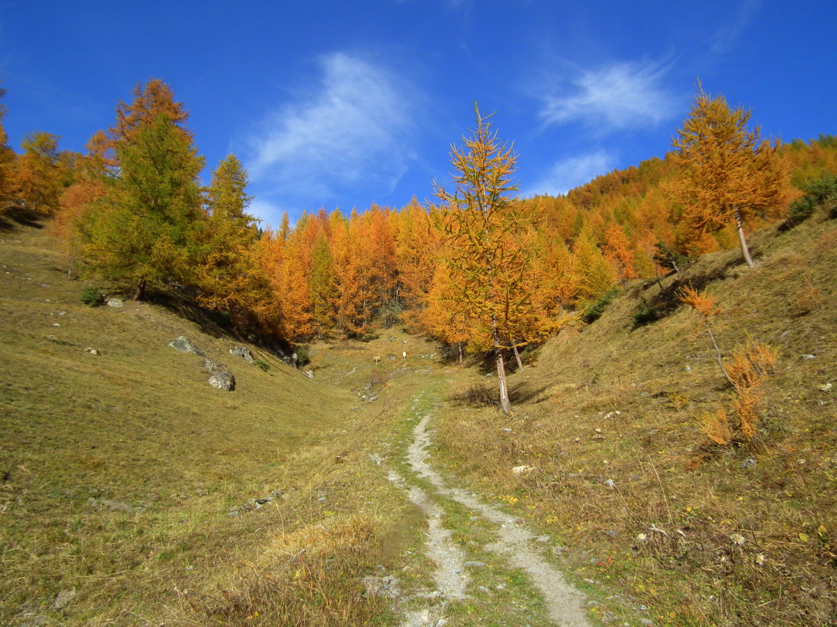 Combe du Barmail