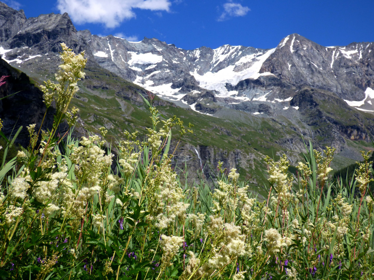 fond de vallée les Bettières
