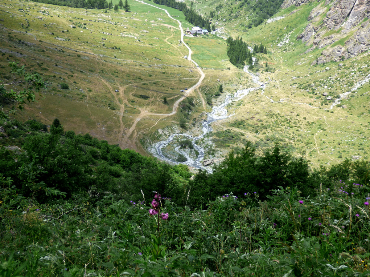 Epinerie